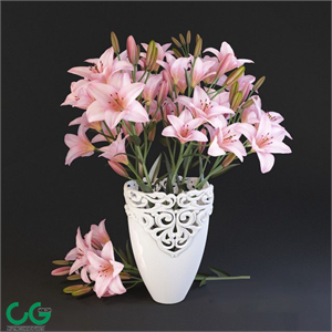 Lilium
